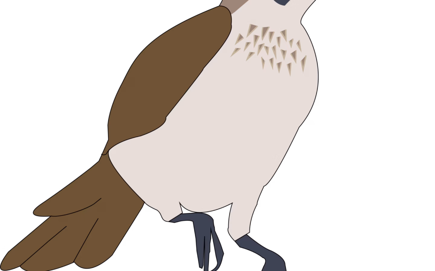 Silver-crowned Friarbird showing bare dark head, pale silvery crown and large curved bill